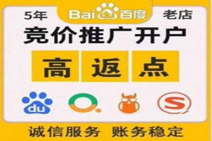 成功案例：SEM竞价托管的策略与效果